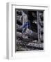 Meeting Place-Jeff Tift-Framed Premium Giclee Print