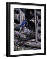 Meeting Place-Jeff Tift-Framed Giclee Print