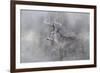 Meeting Winter Head On-Jai Johnson-Framed Giclee Print