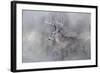 Meeting Winter Head On-Jai Johnson-Framed Giclee Print