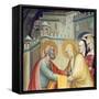 Meeting with Saint Anne-null-Framed Stretched Canvas