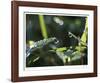 Meeting-Michelle Wermuth-Framed Giclee Print