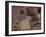 Meezu-Fabio Panichi-Framed Photographic Print