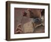 Meezu-Fabio Panichi-Framed Photographic Print