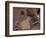 Meezu-Fabio Panichi-Framed Photographic Print