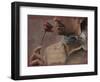 Meezu-Fabio Panichi-Framed Photographic Print