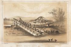 Chinese Irrigation Machine Worked by a Buffalo-Meffert-Framed Giclee Print