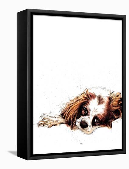 Meg the Spaniel on White, 2020, (Pen and Ink)-Mike Davis-Framed Stretched Canvas