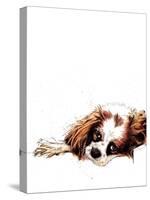 Meg the Spaniel on White, 2020, (Pen and Ink)-Mike Davis-Stretched Canvas