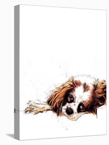 Meg the Spaniel on White, 2020, (Pen and Ink)-Mike Davis-Stretched Canvas