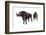 Megacerops-null-Framed Photographic Print