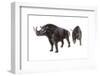 Megacerops-null-Framed Photographic Print