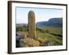 Megalithic Pillar, Gencolumbkille, Co. Donegal, Ireland-Doug Pearson-Framed Photographic Print