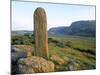 Megalithic Pillar, Gencolumbkille, Co. Donegal, Ireland-Doug Pearson-Mounted Photographic Print