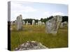 Megalithic Stones Alignments De Kremario, Carnac, Morbihan, Brittany, France, Europe-Levy Yadid-Stretched Canvas