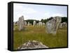Megalithic Stones Alignments De Kremario, Carnac, Morbihan, Brittany, France, Europe-Levy Yadid-Framed Stretched Canvas