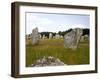 Megalithic Stones Alignments De Kremario, Carnac, Morbihan, Brittany, France, Europe-Levy Yadid-Framed Photographic Print