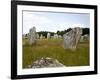 Megalithic Stones Alignments De Kremario, Carnac, Morbihan, Brittany, France, Europe-Levy Yadid-Framed Photographic Print