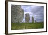Megalithic Stones in the Menec Alignment at Carnac, Brittany, France, Europe-Rob Cousins-Framed Photographic Print