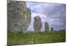 Megalithic Stones in the Menec Alignment at Carnac, Brittany, France, Europe-Rob Cousins-Mounted Photographic Print