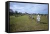 Megalithic Stones in the Menec Alignment at Carnac, Brittany, France, Europe-Rob Cousins-Framed Stretched Canvas