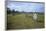 Megalithic Stones in the Menec Alignment at Carnac, Brittany, France, Europe-Rob Cousins-Framed Photographic Print