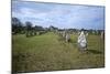 Megalithic Stones in the Menec Alignment at Carnac, Brittany, France, Europe-Rob Cousins-Mounted Photographic Print