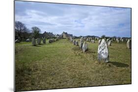 Megalithic Stones in the Menec Alignment at Carnac, Brittany, France, Europe-Rob Cousins-Mounted Photographic Print