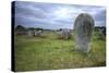 Megalithic Stones in the Menec Alignment at Carnac, Brittany, France, Europe-Rob Cousins-Stretched Canvas