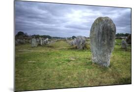 Megalithic Stones in the Menec Alignment at Carnac, Brittany, France, Europe-Rob Cousins-Mounted Photographic Print