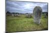 Megalithic Stones in the Menec Alignment at Carnac, Brittany, France, Europe-Rob Cousins-Mounted Photographic Print