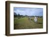 Megalithic Stones in the Menec Alignment at Carnac, Brittany, France, Europe-Rob Cousins-Framed Photographic Print