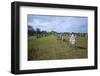 Megalithic Stones in the Menec Alignment at Carnac, Brittany, France, Europe-Rob Cousins-Framed Photographic Print