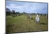 Megalithic Stones in the Menec Alignment at Carnac, Brittany, France, Europe-Rob Cousins-Mounted Photographic Print