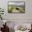 Megalithic Tomb on the Slopes of Slievemore Mountain, Achill Island, County Mayo, Connacht, Ireland-Gary Cook-Framed Stretched Canvas displayed on a wall