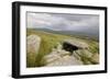 Megalithic Tomb on the Slopes of Slievemore Mountain, Achill Island, County Mayo, Connacht, Ireland-Gary Cook-Framed Photographic Print