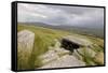 Megalithic Tomb on the Slopes of Slievemore Mountain, Achill Island, County Mayo, Connacht, Ireland-Gary Cook-Framed Stretched Canvas