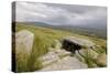 Megalithic Tomb on the Slopes of Slievemore Mountain, Achill Island, County Mayo, Connacht, Ireland-Gary Cook-Stretched Canvas