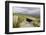 Megalithic Tomb on the Slopes of Slievemore Mountain, Achill Island, County Mayo, Connacht, Ireland-Gary Cook-Framed Photographic Print