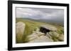 Megalithic Tomb on the Slopes of Slievemore Mountain, Achill Island, County Mayo, Connacht, Ireland-Gary Cook-Framed Photographic Print