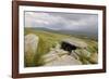 Megalithic Tomb on the Slopes of Slievemore Mountain, Achill Island, County Mayo, Connacht, Ireland-Gary Cook-Framed Photographic Print