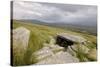 Megalithic Tomb on the Slopes of Slievemore Mountain, Achill Island, County Mayo, Connacht, Ireland-Gary Cook-Stretched Canvas