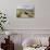 Megalithic Tomb on the Slopes of Slievemore Mountain, Achill Island, County Mayo, Connacht, Ireland-Gary Cook-Photographic Print displayed on a wall