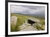 Megalithic Tomb on the Slopes of Slievemore Mountain, Achill Island, County Mayo, Connacht, Ireland-Gary Cook-Framed Photographic Print