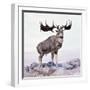 Megaloceros Stag Calling-Arthur Hayward-Framed Photographic Print