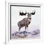 Megaloceros Stag Calling-Arthur Hayward-Framed Photographic Print