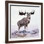 Megaloceros Stag Calling-Arthur Hayward-Framed Photographic Print