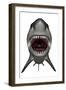 Megalodon Dinosaur with Mouth Open-Stocktrek Images-Framed Art Print