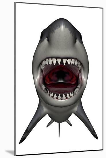 Megalodon Dinosaur with Mouth Open-Stocktrek Images-Mounted Art Print