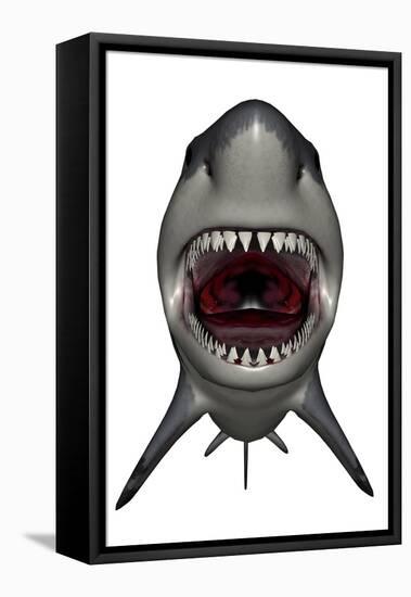 Megalodon Dinosaur with Mouth Open-Stocktrek Images-Framed Stretched Canvas